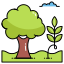 Research & Insights agroforestry